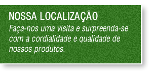 localizacao